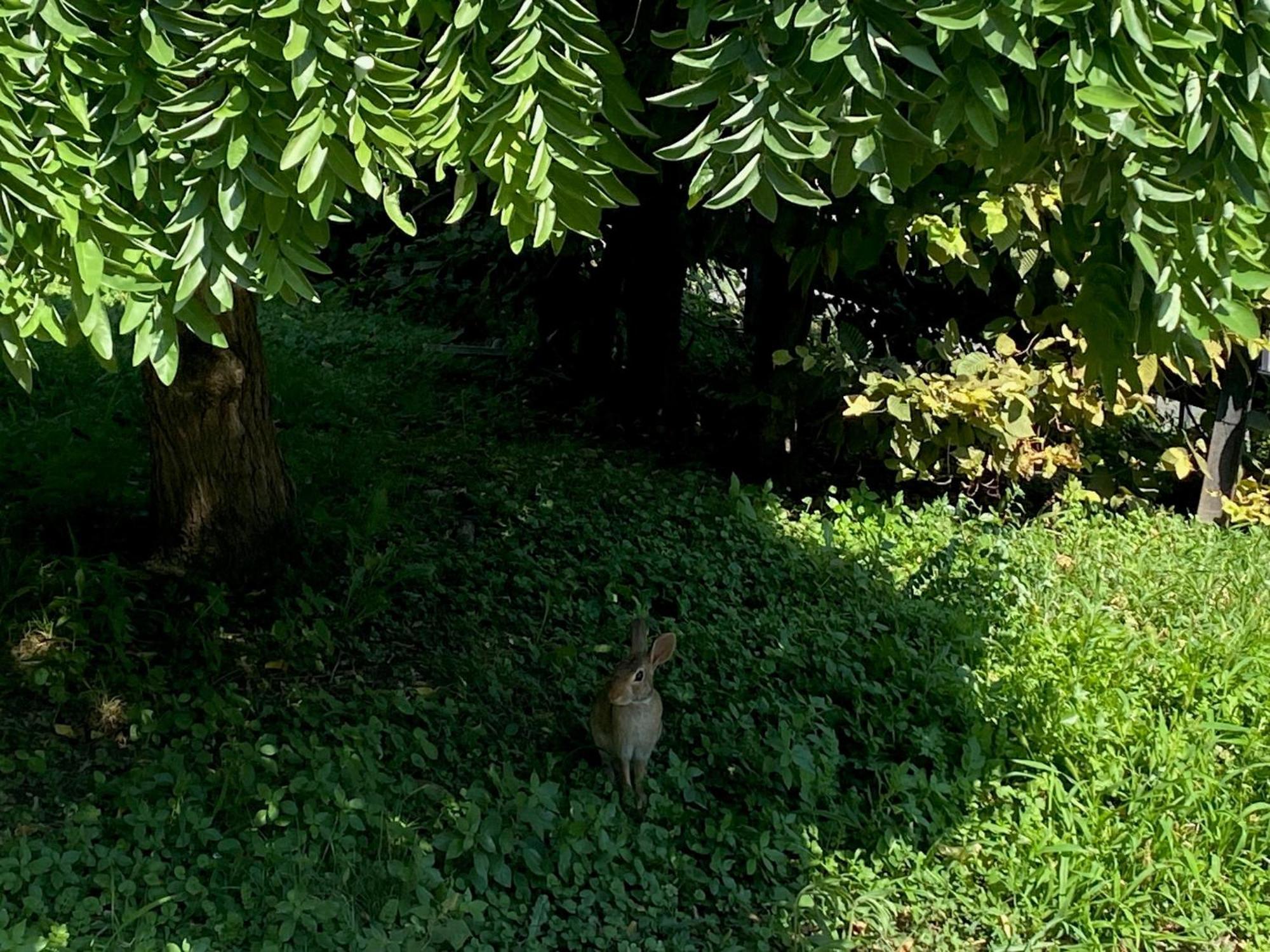 ミラノMagieアパートメント エクステリア 写真